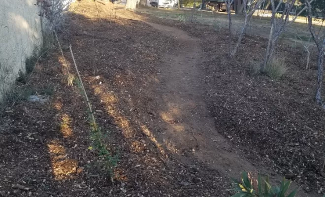 Après plantation