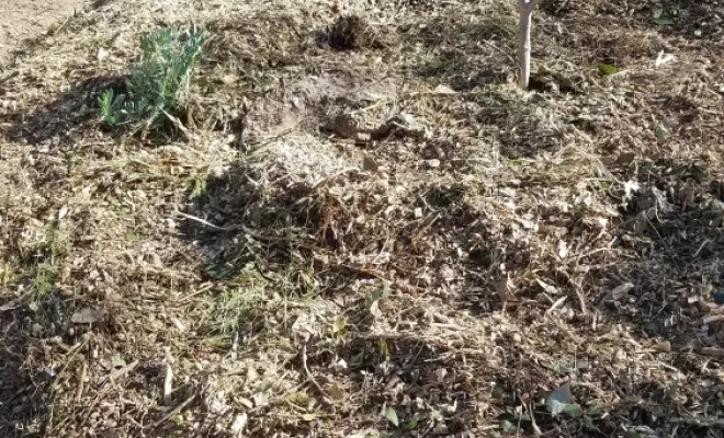 Vente de Terre Végétale Enrichie, Compost, Fumier, Brf , Rians, AgrEcoPaillage