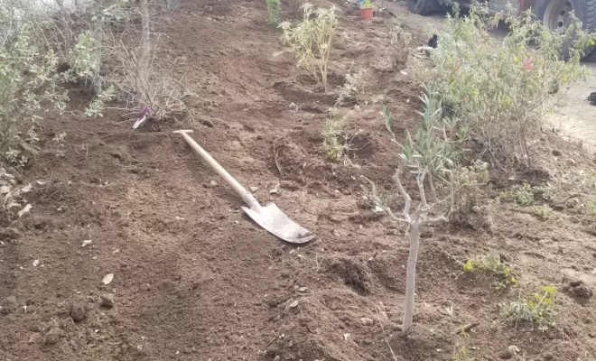 Vente de Terre Végétale Enrichie, Compost, Fumier, Brf , Rians, AgrEcoPaillage